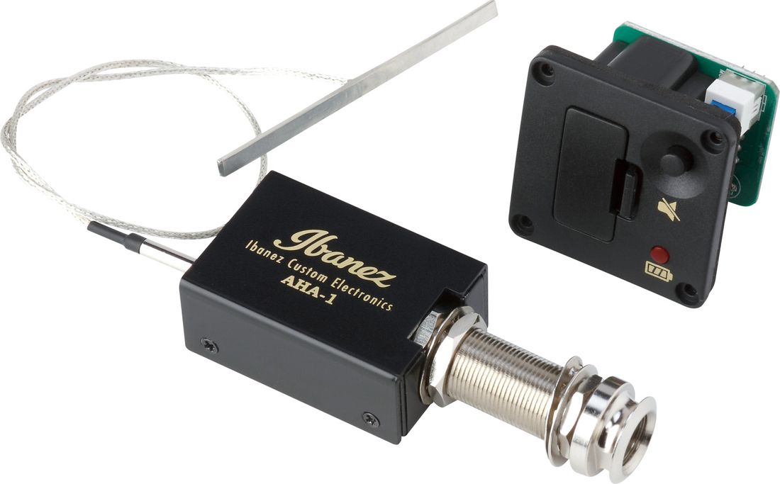 Ibanez FRH10N-NTF Natural Flat, nylonstrengsgitar med elektronikk