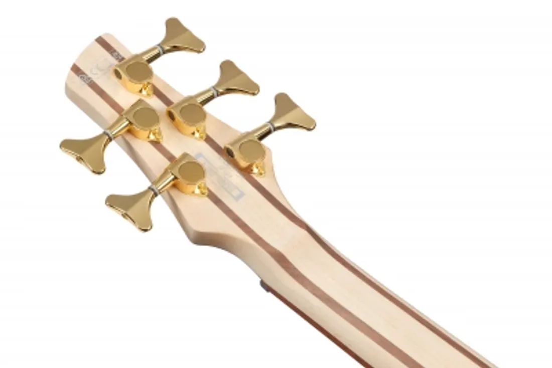 Ibanez SR305EDX-FDM (Frozen Matte) 5-str.